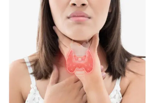 Thyroid Peroxidase Antibodies Test