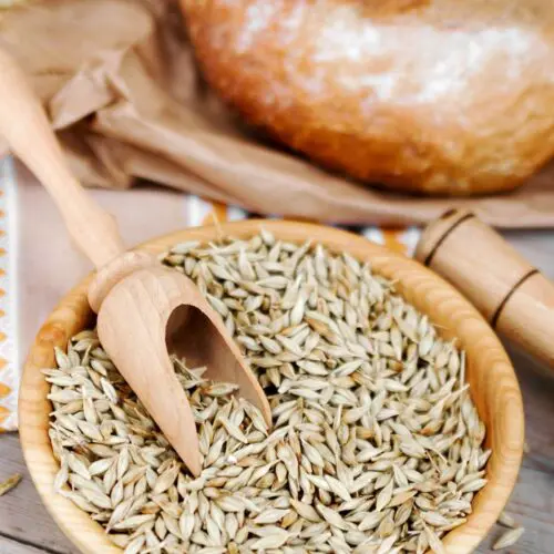 Allergy: Food Profile, Grains-Basic