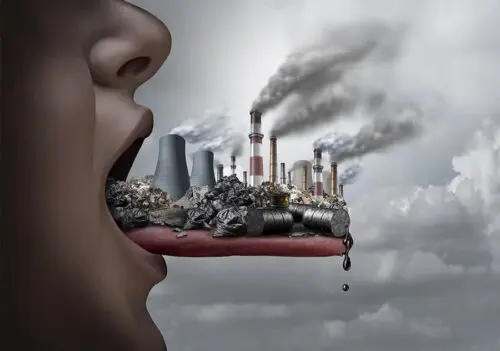 Heavy Metal Toxins Comprehensive Profile