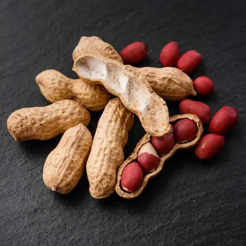 Peanut Zoomer Food Sensitivity Test