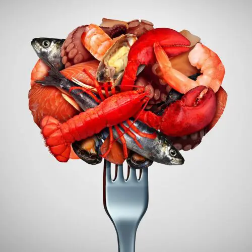 Seafood Zoomer Food Sensitivity Test