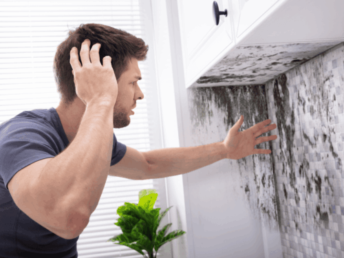 Mycotoxins Exposure Zoomer (28+ Mold Mycotoxins)