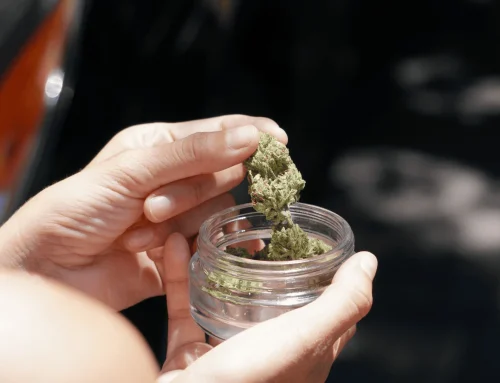 Is Marijuana Really Harmful?