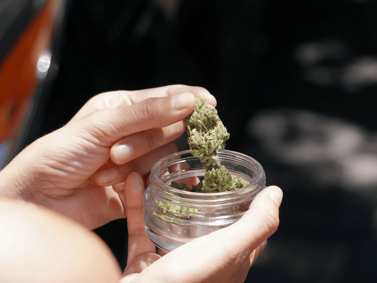 Marijuana harmful for drug testing in kansas city Marijuana harmful for drug testing in kansas city