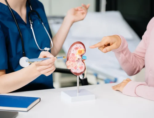 Renal Function Panel: What It Tests and What Your Results Can Tell